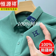 恒源祥純棉短袖t恤男士翻領(lǐng)休閑POLO衫男寬松爸爸夏季體恤上衣中年男裝 長(cháng) 袖綠色 L 170