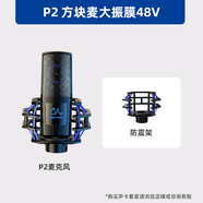 魅聲48V大振膜電容麥克風(fēng)手機(jī)電腦專業(yè)唱歌錄音聲卡套裝無(wú)線手持   經(jīng)典方塊麥P2