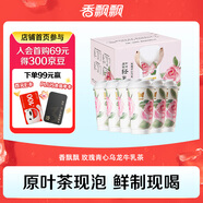 香飄飄原葉現(xiàn)泡傾心玫瑰輕乳茶6杯裝鮮制現(xiàn)泡奶茶