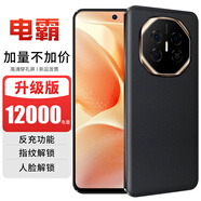 譽(yù)品2025新款7.2英寸商務(wù)大電池電霸OTG反向充電學(xué)生老人游戲智能手機 黑色（全新原封正品送OTG轉接） 8+128