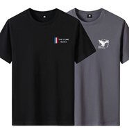 駱駝兩件裝2025新款短袖T恤男大碼寬松圓領(lǐng)ins潮流打底衫體恤 4THE黑色+小老鷹鐵灰色_2件裝 S _建議：75-95斤