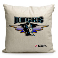 承琉CBA廣東東莞大益隊標志紀念品沙發(fā)抱枕定制球迷周邊靠墊禮品枕頭 北京首鋼