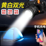 OTHER/其他黃光照黃鱔手電筒頭燈龍蝦螺絲螃蟹夜釣魚變焦感應(yīng)頭戴式礦燈探照 白光T8燈芯套餐zx