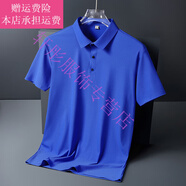 夢(mèng)夢(mèng)奇男士短袖t恤帥氣翻領(lǐng)寬松體桖長(cháng)袖條紋Polo衫男帶有領(lǐng)子 8888款克萊因藍【冰絲高彈力】 M 【90-115斤】