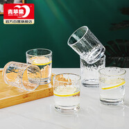 青蘋(píng)果玻璃杯6只裝 水杯茶杯早餐杯牛奶杯套裝 單層家用 220ml