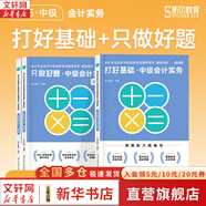 2025新版【現(xiàn)貨速發(fā) 科目可選】中級(jí)會(huì)計(jì)教材2025 中級(jí)會(huì)計(jì)職稱官方教材教輔套裝  中級(jí)會(huì)計(jì)2025輕松過(guò)關(guān)一 東奧輕一/斯?fàn)柦逃?正保教育/中級(jí)會(huì)計(jì)師2025 2025打好基礎(chǔ)+只做好題 中級(jí)會(huì)