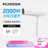 飛科（FLYCO）電吹風(fēng)機(jī)家用發(fā)廊大功率2000W速干恒溫便攜可折疊白色FH6232
