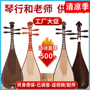 民音專業(yè)琵琶紅木雞翅木花梨木琵琶樂器初學入門教學成人琵笆樂器 幼兒【花梨木軸相】演奏級