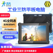 森克 三防平板電腦筆記本工業(yè)工控pad全加固國產(chǎn)化星光麒麟鴻蒙系統戶(hù)外野外GPS持久續航IP67防水防摔 銀河麒麟10.1英寸/盤(pán)古M900/8+256GB