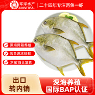 環(huán)球水產冷凍南海金鯧魚2斤/2條 生鮮魚類 火鍋 深海魚 海鮮水產 家庭聚餐