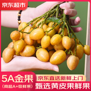 優(yōu)味集【順豐JD速發(fā)】廣東雞心黃皮果新鮮水果整串帶枝孕婦酸甜鮮果整箱 商超級金果 250g（鮮采帶枝）