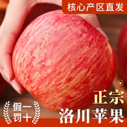 洛川蘋果陜西延安紅富士時令蘋果水果禮盒裝糖心蘋果生鮮脆甜整箱好吃新鮮 10斤鉑金果70-75mm（凈重8.5斤）