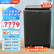 威力12公斤 波輪洗衣機全自動 大容量家用仿生手搓 防銹箱體 XQB120-2229C