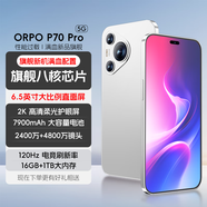 ORPO P70pro手機2025新機上市 120Hz高刷護眼 16G運行1TB大內(nèi)存 5G全網(wǎng)通7900大電池長續(xù)航快充輕薄 雪域白 豪華版16G+1024G 【5G全網(wǎng)通+豪華贈品+質(zhì)保三年】