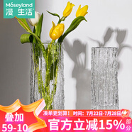 漫生活插花瓶玻璃透明24cm百搭冰川紋水養(yǎng)花瓶輕奢富貴水培植物桌面擺件