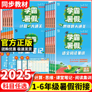 2025學(xué)霸的暑假銜接作業(yè)小學(xué)一升二升三升四升五升六年級(jí)全套學(xué)霸語文閱讀集訓(xùn)數(shù)學(xué)計(jì)算思維題大通關(guān)人教北師江蘇教版預(yù)復(fù)習(xí)一本通 二升三 【3本】閱讀集訓(xùn)+思維+計(jì)算大通關(guān) 人教版（語數(shù)）