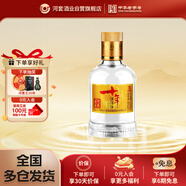 河套酒業(yè)（HETAOLIQUOR）河套老窖感恩十年 濃香型白酒 38度 100ml*1瓶