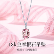 黛洛奇（DAILUOQI）18K金項(xiàng)鏈女摩根石首飾品520情人節(jié)生日禮物送老婆女友 18K金項(xiàng)鏈+摩根石吊墜