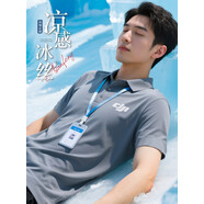 萬嘉宜萊（WAN JIA YI LAI）冰絲無痕速干工作服POLO衫定制工廠工裝4S店銷售短袖t恤文化衫夏 灰色 【高端無痕冰絲壓膠工藝】 M  【100-115斤】