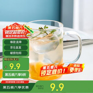 唯銘諾玻璃杯耐高溫泡茶杯子男士辦公室帶把喝水杯單層高硼硅玻璃杯