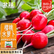 北蔬 小蘿卜種子秋種紅皮水果蘿卜蔬菜籽 濰胖1號櫻桃蘿卜種子約500粒