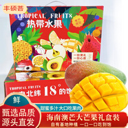 京地達(dá)海南現(xiàn)摘青皮澳芒凈重5斤禮盒裝約2-4個(gè)甜心芒果新鮮水果源頭直發(fā)