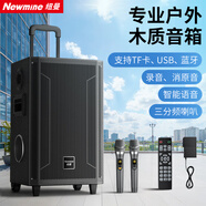 紐曼（Newmine）N537 12寸廣場(chǎng)舞藍牙音箱大功率戶(hù)外移動(dòng)便攜式拉桿家用K歌大音量無(wú)線(xiàn)音響超長(cháng)續航雙麥 13喇叭