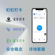 蘋果遠程打卡lBS定位飛書釘釘打卡遠程尾插企業(yè)微信簽到創(chuàng)意插件 【二代進口芯片】iphone6-14