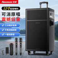 紐曼（Newmine）N550 12寸廣場舞音響戶外移動便攜式藍牙音箱重低音帶麥克風(fēng)大功率家用高音質(zhì)吉他樂器音箱