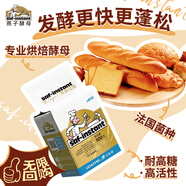 燕子（SAF INSTANT） 烘焙原料 金裝 高活性即發(fā)干酵母粉 500g 耐高糖發(fā)酵快