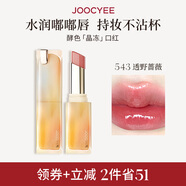 Joocyee酵色晶凍口紅#543透野薔薇3.5g 唇釉唇凍鏡面滋潤水光生日禮物