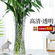 呈愛透明玻璃花瓶簡約加高貴竹百合水培綠蘿植物富花瓶客廳插花擺件 加高30cm六角（斜紋圖案） 高30厘米