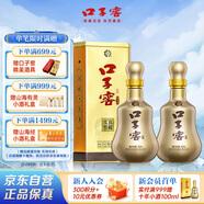 口子窖 十年型 41度500ml*2雙瓶裝
