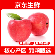 疆域采虹正宗陜西延安紅富士蘋果水果 新鮮水果冰糖心時(shí)令丑蘋果生鮮整箱 精選9斤實(shí)惠裝(凈重8斤)單果70g+ 【顆顆嚴(yán)選】