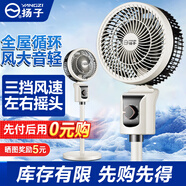 揚子電風扇空氣循環(huán)扇落地家用臥室客廳宿舍臺式桌面電扇 機械款-左右搖頭
