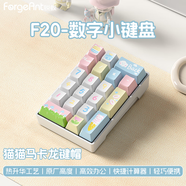 雷蛇（Razer）通用F20機(jī)械數(shù)字小鍵盤女生辦公筆記本外接會(huì)計(jì)財(cái)務(wù)便攜數(shù)字鍵盤 F20-馬卡龍(混光20鍵)-有線 茶軸