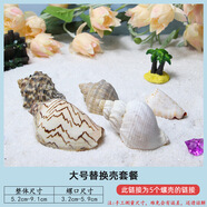 籠趣寄居蟹替換殼中小型號天然海螺貝殼卷貝魚(yú)魚(yú)缸造景擺件水族箱裝飾 大號替換殼套餐【以螺口尺寸為準