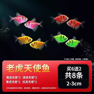 瘋狂水草天使魚活體淡水熱帶觀賞魚小型耐活水族箱魚苗 精品虎斑天使魚8條2-3cm