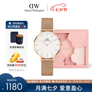 丹尼爾惠靈頓（DanielWellington）DW手表女表 簡約女士手表 時尚歐美表送女友節(jié)日禮物DW00100163