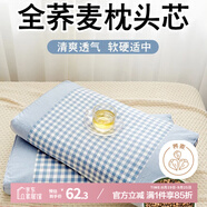 艾薇 枕頭蕎麥枕100%蕎麥殼枕頭枕芯枕頸椎枕 淺藍 一只裝 35*55cm