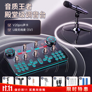 金運 V20聲卡直播設備全套麥克風(fēng)錄音套裝話(huà)筒唱歌手機藍牙電腦無(wú)線(xiàn)變聲器電容麥全民K歌抖音快手 入門(mén)級【聲卡全套+無(wú)線(xiàn)麥克風(fēng)】-免調試