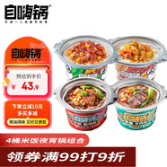 自嗨鍋自熱米飯夜宵鍋4盒多口味組合裝方便食品速食方便火鍋夜宵715g