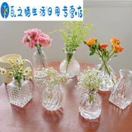 法式田園風(fēng)迷你浮雕透明玻璃小花瓶玫瑰康乃馨小支插花瓶客 精致七件套