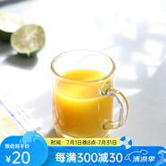 DURALEX法國多萊斯鋼化玻璃水杯果汁茶杯馬克杯辦公杯男女通用喝水杯子 透明色馬克杯260ml 1只