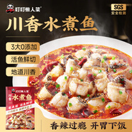 叮叮懶人菜川香水煮魚 麻辣預(yù)制菜 半成品快手家常菜川味家宴450g 露營 【鮮香麻辣】川香水煮魚450g
