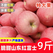 黃六爺山東紅富士煙蘋果新鮮臺(tái)水果春嘗鮮10斤包郵蘋果整箱冰糖心應(yīng)當(dāng)季 3斤【不打蠟，直接吃】 【特大果】果園現(xiàn)摘 | 新鮮脆甜