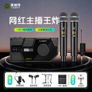 萊維特（LEWITT）connect6外置聲卡+艾肯WM2.2一拖二麥克風(fēng)套餐主播錄音喊麥唱歌手機電腦直播話(huà)筒聲卡設備