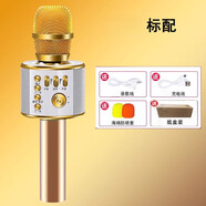 新科K歌麥克風(fēng)話(huà)筒音響一體自帶聲卡全民唱歌手機家庭兒童K歌神器七夕情人節禮物 土豪金 標配歌手級音質(zhì)DSP聲