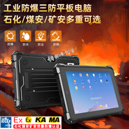 辰想 W10N加固三防平板電腦工業(yè)pad可定制防爆win10/安卓系統(tǒng)高亮長續(xù)航移動平板帶RS232串口 10吋W10N（8+128G）普分普亮電商款 三防版本