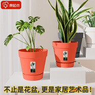 原起點(diǎn) 北歐風(fēng)塑料花盆 樹(shù)脂透氣加侖花盆帶托盤(pán) 陽(yáng)臺辦公家用盆栽加厚 蜻蜓紅花盆【大號】2個(gè)裝